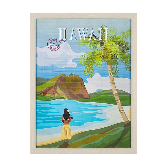 Mercana Hawaii Go USA (L) by Mercana Studio a Hand Embellished Decograph Framed Art Print 15645
