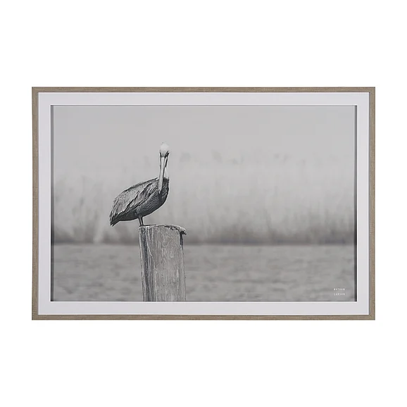 Mercana Pelican Stories by Nathan Larson Framed Art Print Matted under Glass 15972