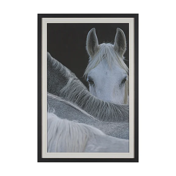 Mercana Look by Milan Malovrh FramedPhoto Print Matted under Glass 16162