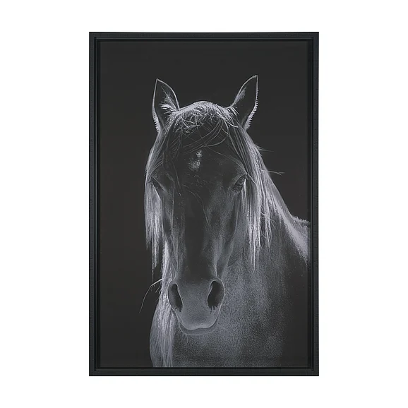 Mercana Shadowborn Majesty by Frank Ma Framed Photo Print Matted under Glass 16164
