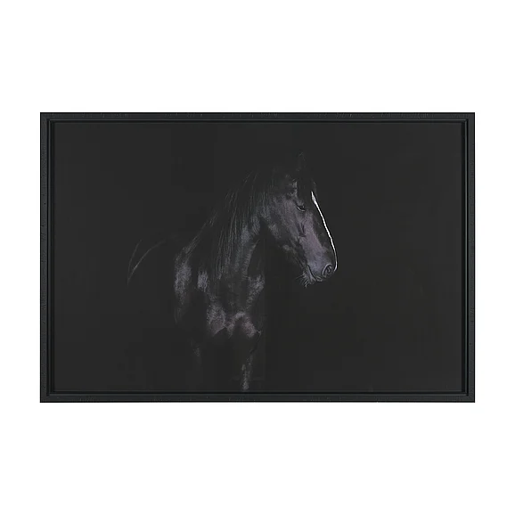 Mercana Majestic Midnight by Rehpoehler Framed Photo Print Matted under Glass 16165