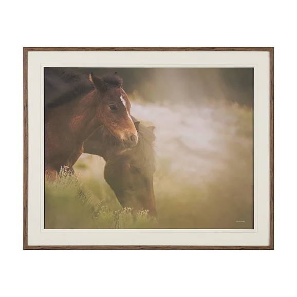 Mercana Magic by Chad Mackay FramedPhoto Print Matted under Glass 16179