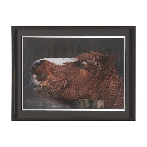 Mercana Hay over Here. by Chad Mackay FramedPhoto Print Matted under Glass 16180
