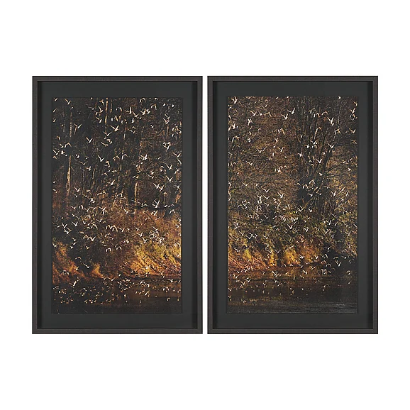 Mercana Gilded Flight by Chad Mackay Textured Framed Photo Print Matted under Glass (Set of 2) 16190