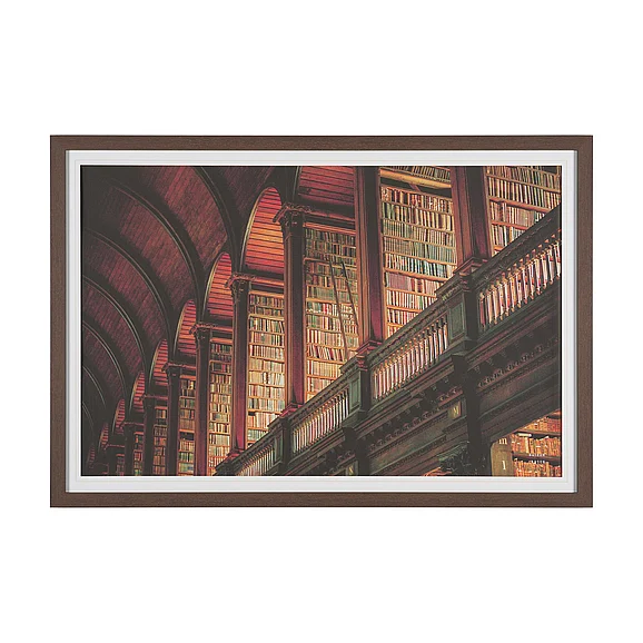 Mercana Trinity Library III by Nathan Larson FramedPhoto Print Matted under Glass 16197