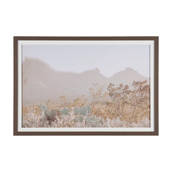 Mercana Big Bend National Park by Nathan Larson FramedPhoto Print Matted under Glass 16206