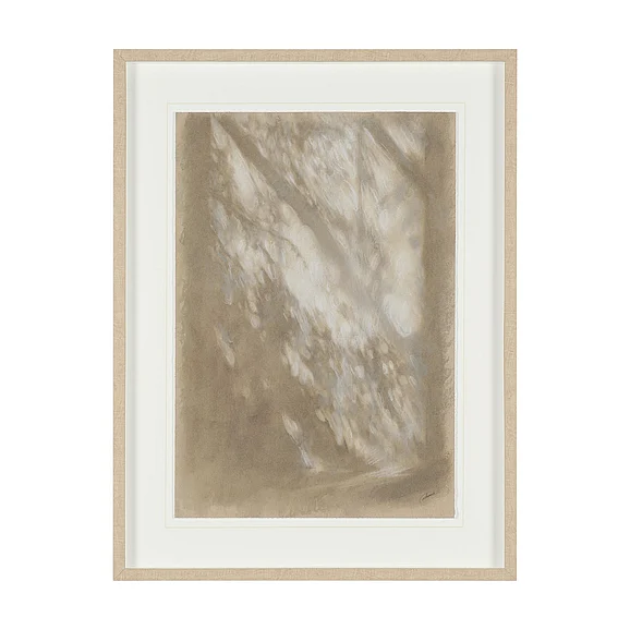 Mercana Passing Shadows I by Mercana Studio Framed Artwork Matted under Glass 16212