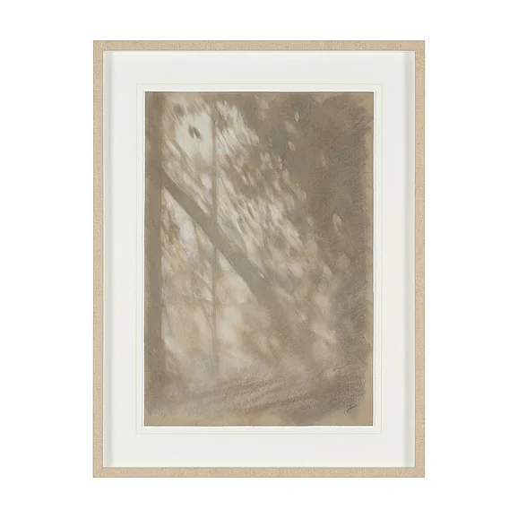 Mercana Passing Shadows II by Mercana Studio Framed Artwork Matted under Glass 16213