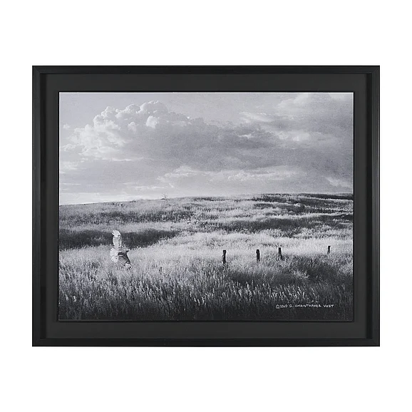 Mercana Fence Line Flight I by R. Christopher Vest Textured FramedPhoto Print Matted under Glass 16249