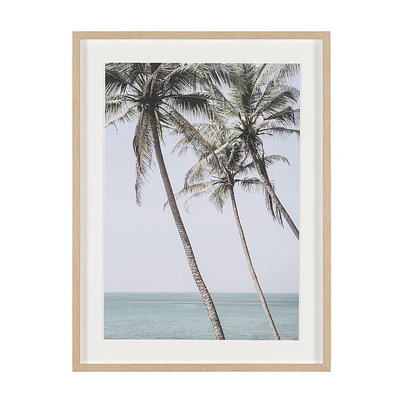 Mercana Ocean Breeze Palms by Shot By Clint Framed Photo Print Matted under Glass 16261