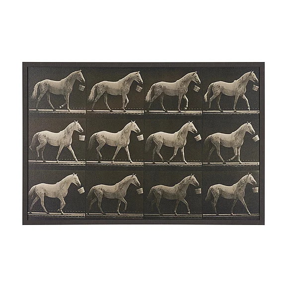 Mercana Walking Tall by Eadweard Muybridge Textured Framed CanvasPhoto Print 102796-FL