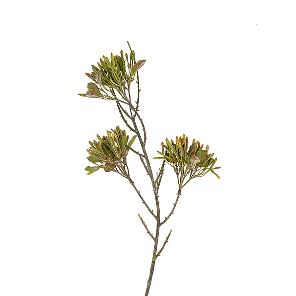 Mercana Wild Flower Spray, Green IN0155