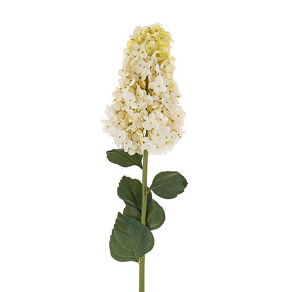 Mercana Hydrangea Paniculata Stem IN0381