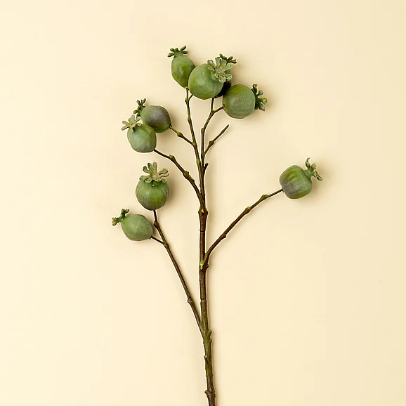 Mercana Poppy Pod Branch IN9501