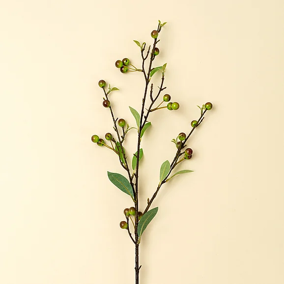 Mercana Hypericum Berry Spray IN9531