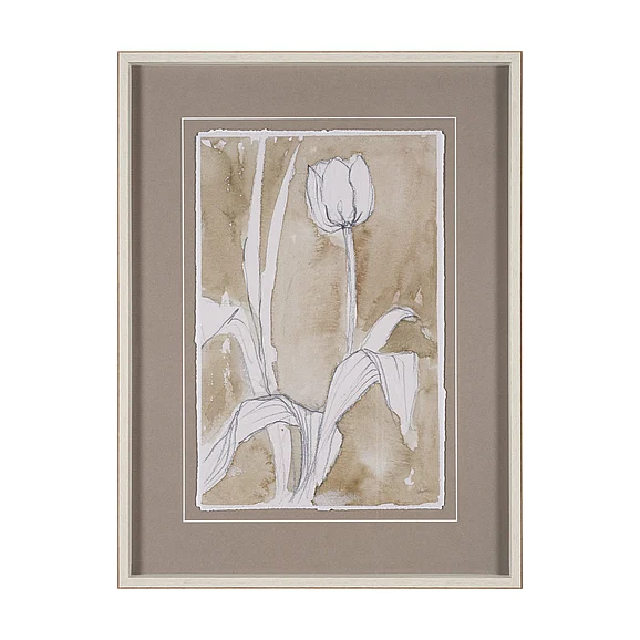 Mercana Tulip Bloom II Framed Artwork 16278