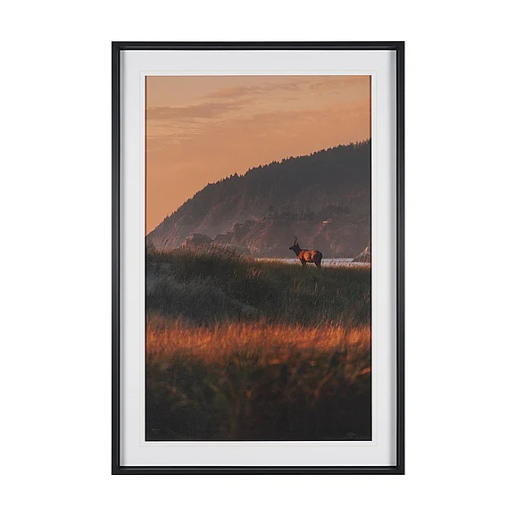 Mercana Elk by Stefan and Audrey Textured Framed Photo Print Matted under Glass 16336