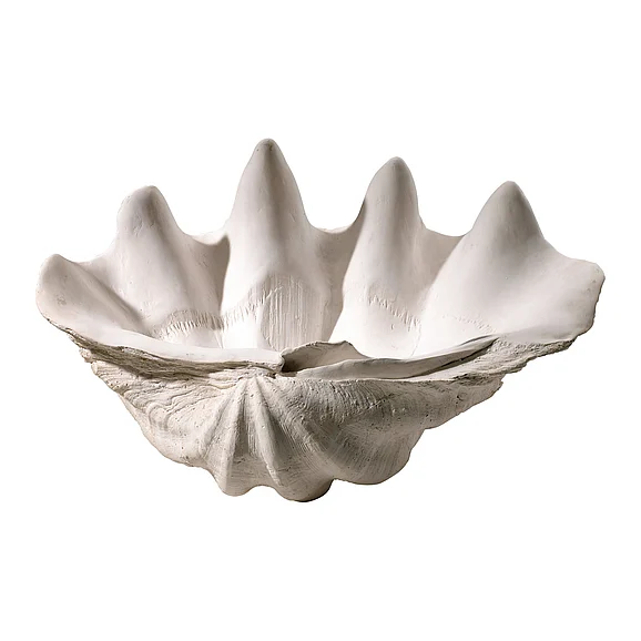 Cyan Design Clam Shell Bowl | White 2799
