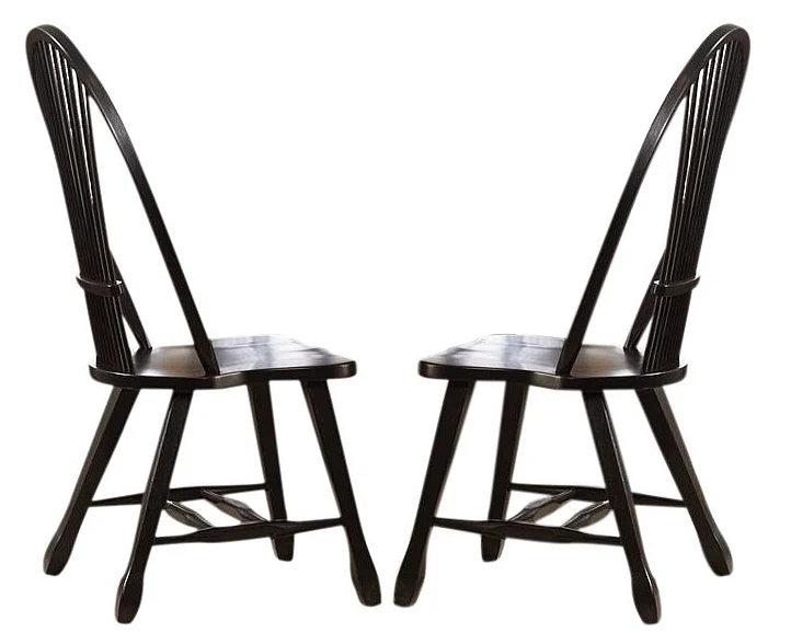 Liberty Furniture Treasures Sheaf Back Side Chair in Black 17-C4032 (Set of 2)