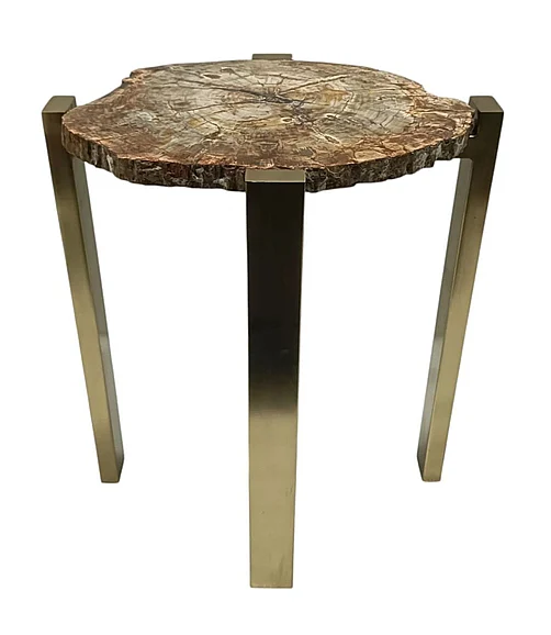 Coast by DK Norwood Petrified Wood Side Table in Gold 12131