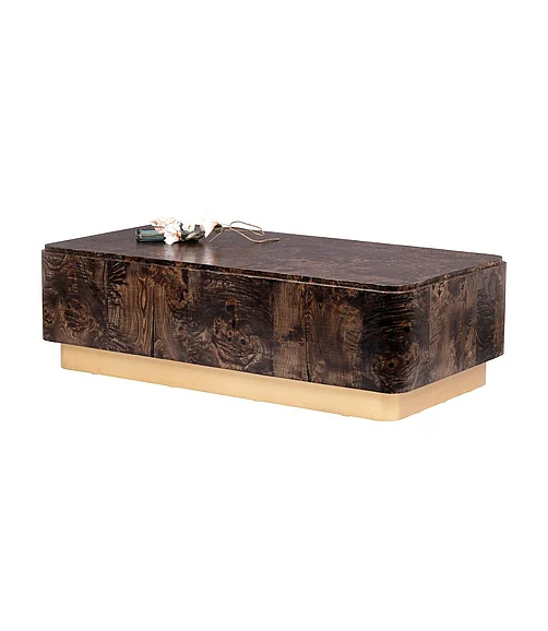 Coast by DK Echelon Coffee Table In Antique Brass Iron in Natural 12217