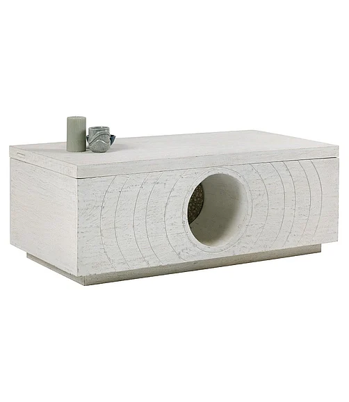 Coast by DK Aperture Lift Top Coffee Table in White Sand Blast 12226