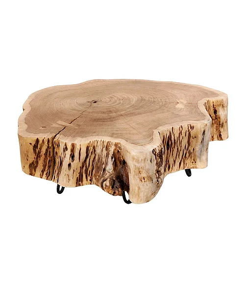 Coast by DK Lior Wooden Log Coffee Table With Metal Legs in Natural/Black Powder Coat 12234
