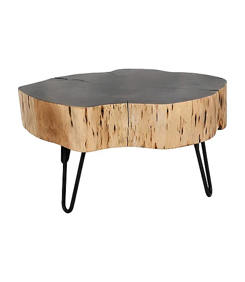 Coast by DK Kario Wooden Log Coffee Table With Metal Legs in Black/Natural/Black Powder Coat 12235