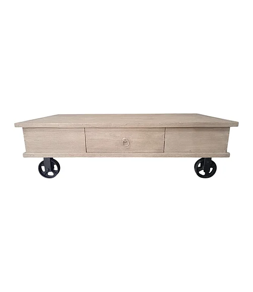 Coast by DK Ellington Low Coffee Table in Beige 12360