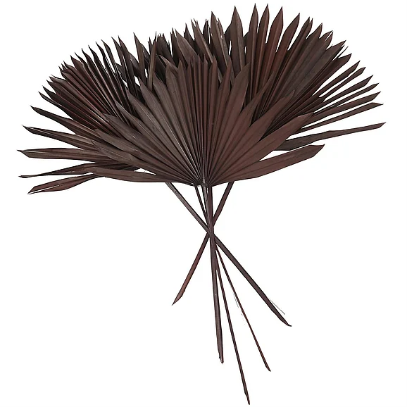 UMA Dark Brown Dried Plant Palm Leaf Handmade Large Sun Palm Spear Home Decor Natural Foliage, 17" x 6" x 26" | 12368 CLOSEOUT