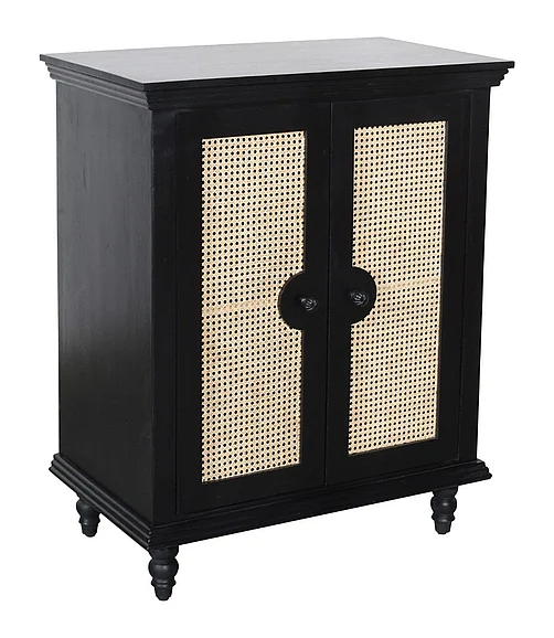 Coast by DK Hawthorne Two Door Cabinet in Black 12448