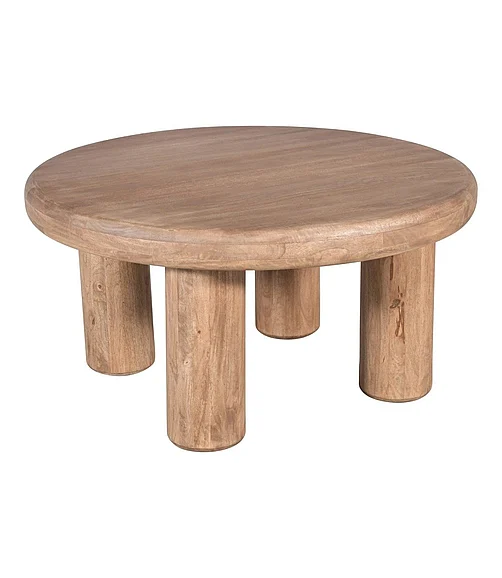 Coast by DK Loma Mango Wood Coffee Table in Nara 12460