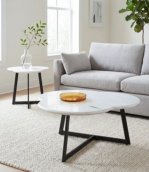 Coast by DK Clovera 2pc Occasional Living Room Set in Natural White/Black Powder Coat