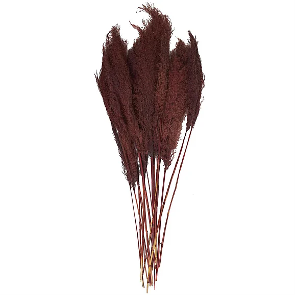 UMA Red Dried Plant Pampas Grass Grass Home Decor Natural Foliage with Long Stems, 7" x 3" x 43" | 12588 CLOSEOUT