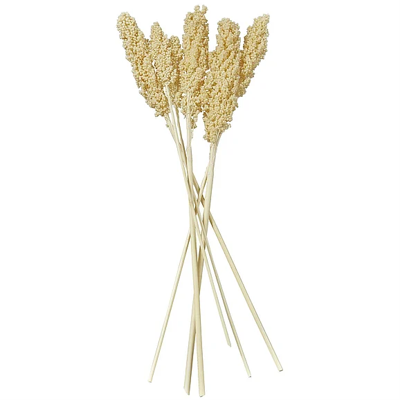 UMA Cream Dried Plant Corn Maze Grass Home Decor Natural Foliage with Long Stems, 3" x 1" x 30" | 12594 CLOSEOUT
