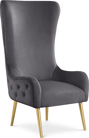 Meridian Alexander Velvet Accent Chair in Grey Velvet 536Grey