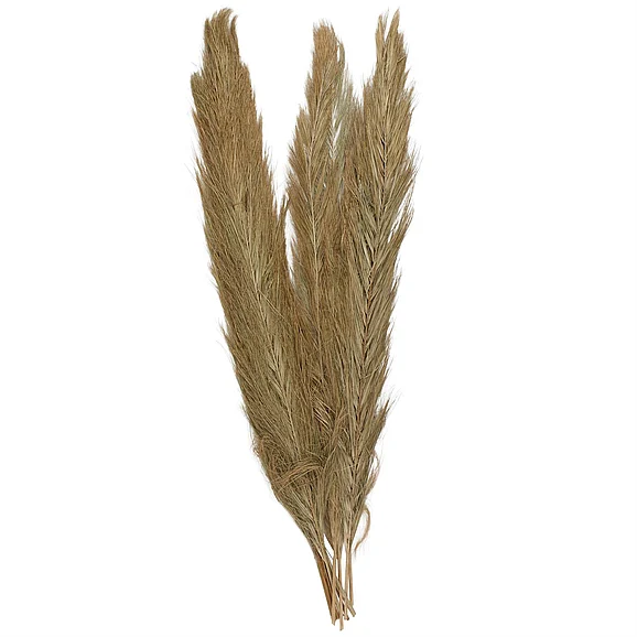 UMA Green Palm Leaf Tall Home Decor Natural Foliage, 5" x 5" x 60" | 15736 CLOSEOUT