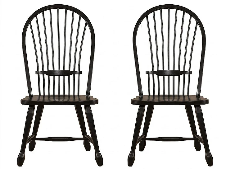 Liberty Furniture Treasures Sheaf Back Side Chair in Black 17-C4032 (Set of 2)