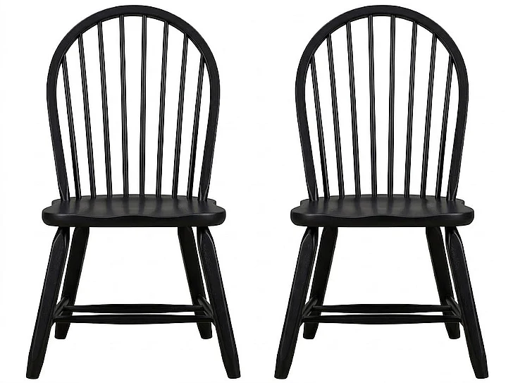 Liberty Furniture Treasures Bow Back Side Chair in Black 17-C4050 (Set of 2)