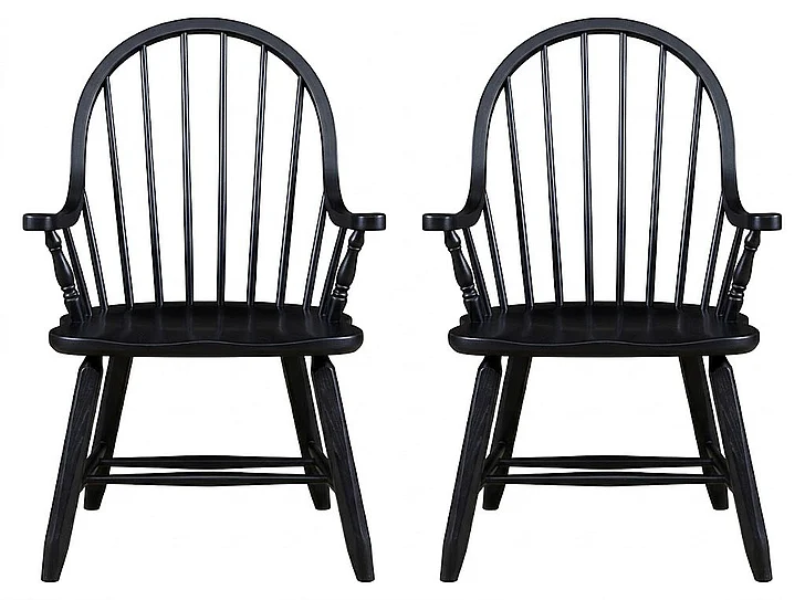 Liberty Furniture Treasures Bow Back Arm Chair in Black 17-C4051 (Set of 2)