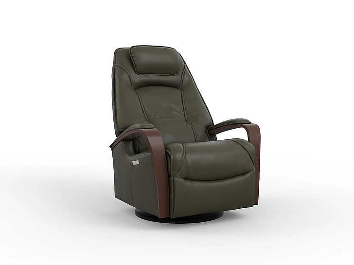 Fjords Relax Helsinki Large Swing Relaxer Motorized in AL Martini Olive/Chocolate 203216P-555-012 CUSTOM ITEM
