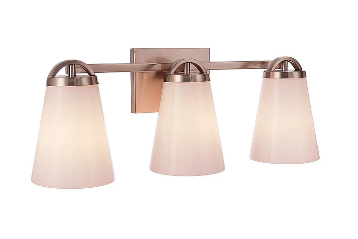 Craftmade Zane 3 Light Vanity in Premium Bronze 20723CPZ3