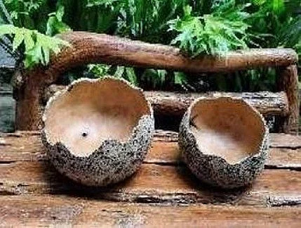 Uma Large Decorative Bowl 21107