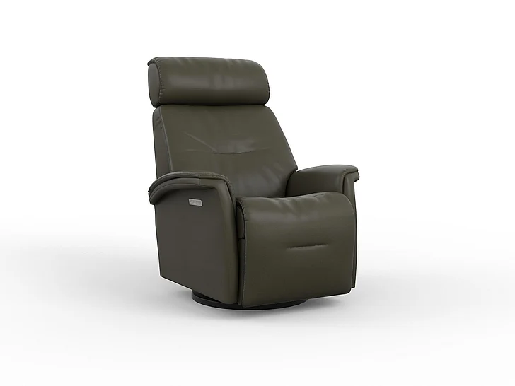 Fjords Relax Rome Large Swing Relaxer Motorized in AL Martini Olive 211216P-555 CUSTOM ITEM