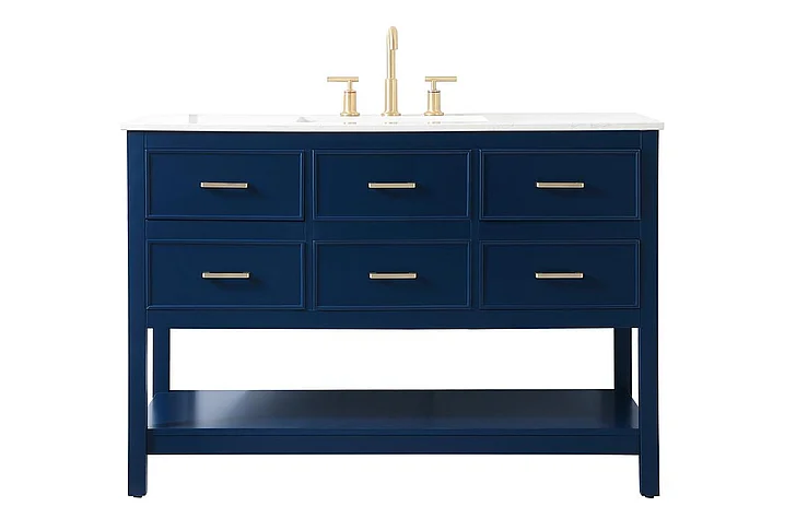 Elegant 48 In. Single Bathroom Vanity in Blue VF19048BL