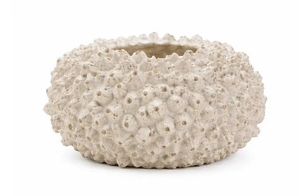 Uma Coral Decorative Vase 21589