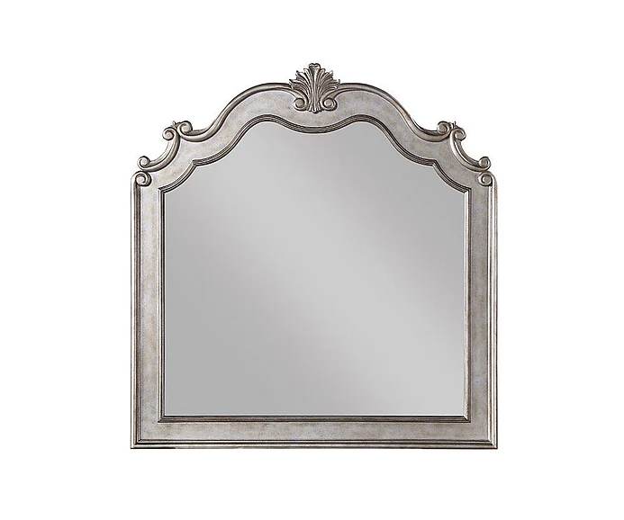 ACME Esteban Mirror in Antique Champagne 22204