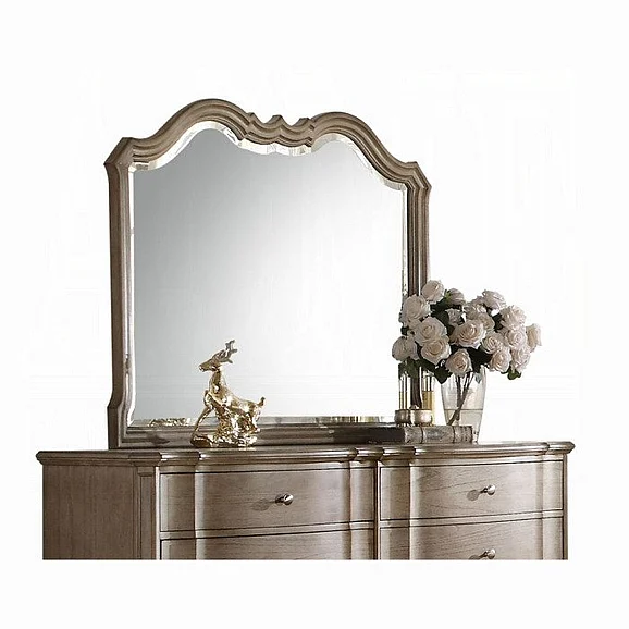 Acme Chelmsford Landscape Mirror in Antique Taupe 26054