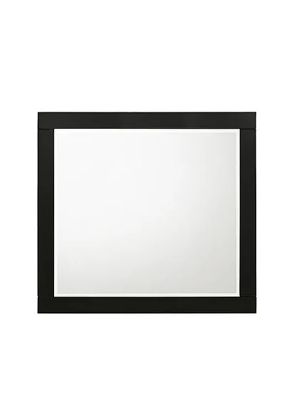 Acme Furniture Chelsie Mirror in Black 27414