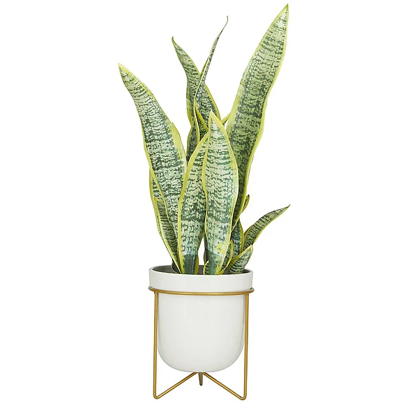 UMA Green Faux Foliage Snake Indoor Outdoor Artificial Plant with Realistic Leaves and White Porcelain Pot and Gold Stand, 14 x 13 x 25 | 30372